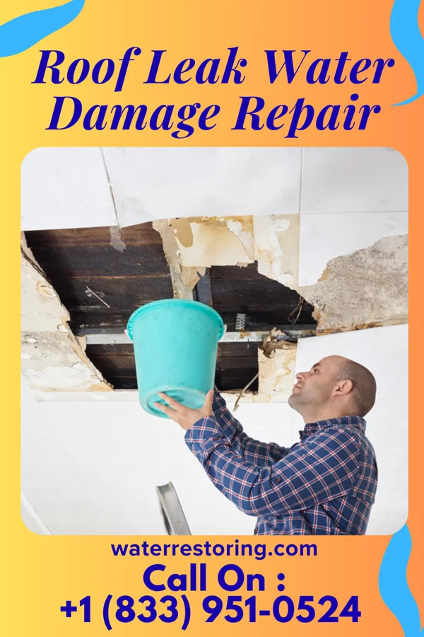 Roof Leak Water Damage Repair in South Taft, CA